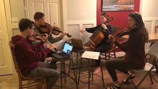 Tjønneblomen arr Danish String Quartet [upl. by Ferriter]