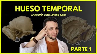 💀HUESO TEMPORAL PARTE 1  Porción escamosa y mastoidea ¡Todo lo que tienes que saber [upl. by Clippard]