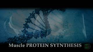 MUSCLE PROTEIN SYNTHESIS MPS  Enhanced Anabolic Processes  Binaural Beats amp Subliminal Messages [upl. by Katusha]