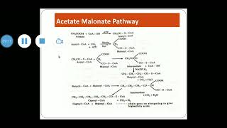 Acetate Malonate pathway [upl. by Perlman]