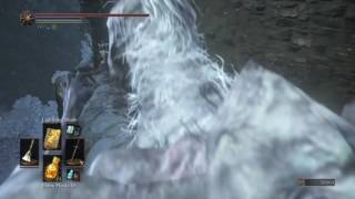 Dark Souls 3 Ashes of Ariandel  Crow Talons Location [upl. by Baras]