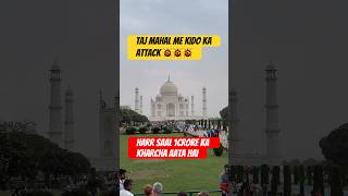 Taj majal me kido ka Attack 😳🐞 tajmahal tajmahalvlog agra trending shorts love ￼ [upl. by Clara]