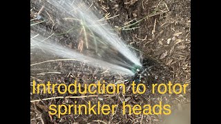 Rotor Sprinkler Heads 101 Everything You Need to Know [upl. by Brodench107]