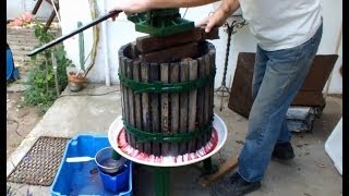 CLEANING VINE PRESS [upl. by Greenberg]