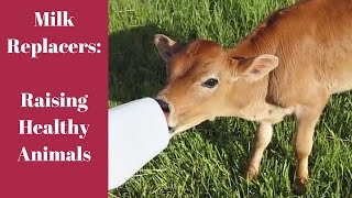 Milk Replacer Raising Healthy Animals [upl. by Hourigan]