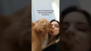 alkolmetre mübarek keşfet dog köpek animals hayvanlar daily memes fyp [upl. by Yekcim]