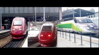 Brussels to Paris by Thalys  Europes High Speed Rail Experience at 295 Kmph [upl. by Tavis]