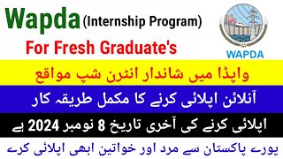 Wapda Started Internship Program For Fresh Graduates 20204  Complete Process of Online Applying [upl. by Lucina721]