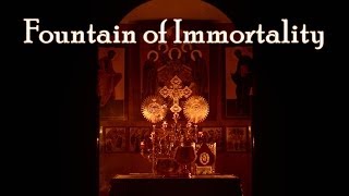 FOUNTAIN OF IMMORTALITY  Meditation on the Orthodox Divine Liturgy [upl. by Tiffanle]