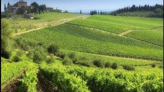 Chianti best routes in Tuscany [upl. by Aenehs]