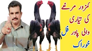 Kamzor Murga Ko Fight Ka Laya Ya Powerful Khurak l کمزور مرغے کو لڑائ کے لیے طاقت ور خوراک l [upl. by Aisetra]