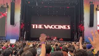 The Vaccines  Teenage Icon Estéreo Picnic 2024 [upl. by Icam]