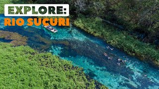 Explore Rio Sucuri  Bonito MS  Bonitour 4K [upl. by Imoyaba108]