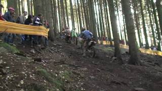 Enduro DEM 2009 quotRund um Zschopauquot Part 2 [upl. by Liahus]