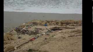 Tempête sur lacanau ocean du 03 03 2014 [upl. by Beesley]