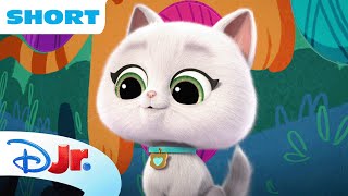 SuperKitties SuPurr Adventures  Bitsys Transportation Tube Trouble  disneyjr [upl. by Atteynot]