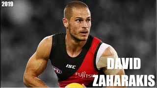 David Zaharakis 2019 Highlight Reel [upl. by Romola]