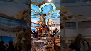 Beautiful Denpasar Airport dps airport denpasar reels trending viralvideo youtubeshorts [upl. by Aveline]