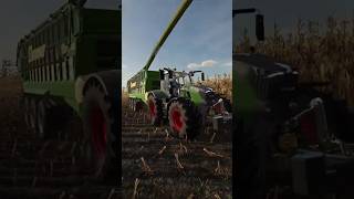 Ensilage maïs sur fs22 ls22 fs22 farmingsimulator farmlife gameplay [upl. by Janos184]