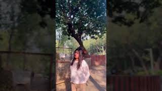 Dekhti pyari lago song 2024 status video adiwasi i vlv kapil [upl. by Nairad]