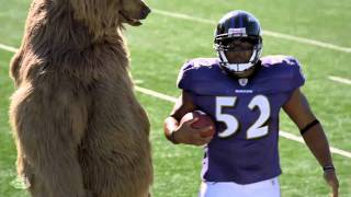 Old Spice  Bear starring NFL Superperson Ray Lewis [upl. by Kravits]