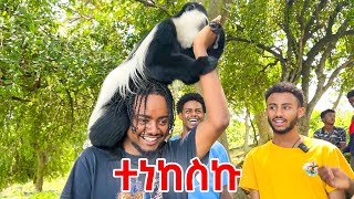 አሞራ ገደል ጉሬዛ አበላን🇪🇹 Hawassa Vlog [upl. by Hardy765]