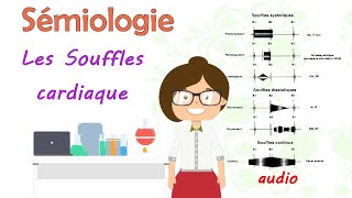 sémiologie  les souffles cardiaque  cours de 3 éme année médecine [upl. by Isak886]