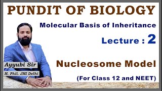 Nucleosome Model  Molecular Basis of Inheritance  Biology 12  NEET  CBSE [upl. by Coulombe]