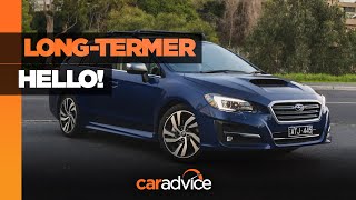 Subaru Levorg 20 GTS longterm review Introduction [upl. by Ellienad]