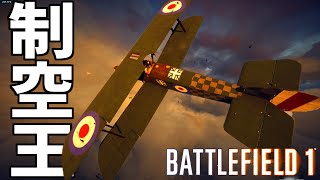 【BF1】重爆撃機＆戦闘機で制空権取ってたらチーター暴れだした試合【BATTLEFIELD 1 実況】 [upl. by Clarine]