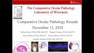 COPLOW Ocular Pathology Rounds November 13 2024 [upl. by Mixie]