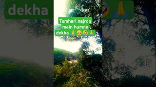 Tumhari najron mein humne dekhaYouTube shortshort videoHiralal Kamal [upl. by Vins]