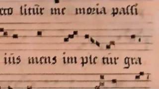 O sacrum convivium Gregorian Chant Chant Group Psallentes [upl. by Lyret]