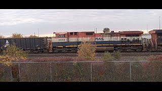 Monday Morning Train Meet BCOL 4644 CN A425 amp CN A422 At Burlington WestMP 48 On The Halton Sub [upl. by Lauer]