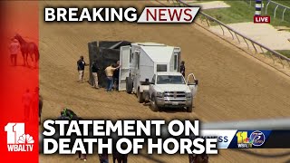 1ST Racing releases statement on horse death [upl. by Yeblehs]