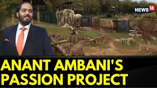 Anant Ambani Interview Latest  Jamnagar Global Species  Anants Love For Wildlife  News18 [upl. by Otrebmuh583]