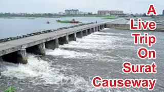 A Live Trip on CAUSEWAY Surat   Rander Causeway  Surat Causeway  swimming  suratgujrat [upl. by Giselbert]