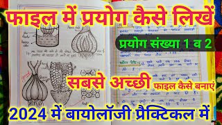 Bio practical  class 12 biology practical file 2024 up board  12th biology ki file kaise banaye [upl. by Doro568]