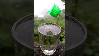 crazy experiment with milk 💥 experiment science water scienceexperiment fact consentgamer [upl. by Eitsyrk65]