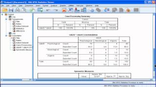 Kappa  SPSS part 2 [upl. by Noskcaj]