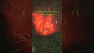 ammonium dichromate 🔥🔥chemistry reels shorts ytshorts trending [upl. by Castera]