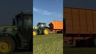 Kukurydza 2024 John Deere amp Belarus 🌽 [upl. by Kenway]