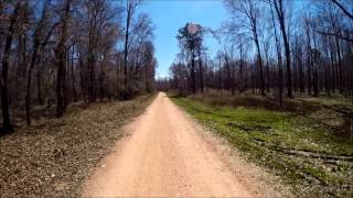 FOR SALE PORTLAND LANDING DALLAS COUNTY AL 449 ACRES [upl. by Kroll423]