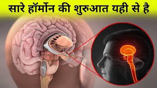 शरीर मे सारे हॉर्मोन को कंट्रोल कौन करता है  hormones of hypothalamus [upl. by Lamberto]