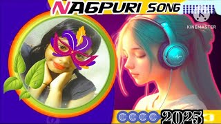 Fair Lovely  New Nagpuri Song 2025  Singer Vinay Kumar amp Prity Barla djmusictube999 [upl. by Anire]