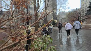 insta360 Ace Pro  Closeup Lens 8K Video Trip to Madison Square Park at Holiday Time [upl. by Judson]