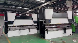 best Double Hawe pump driven cnc servo press brake bending machine 220ton 4m [upl. by Brinson587]