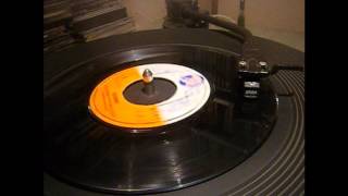 Winston Wright With Tommy McCook  Meshwire  Trojan Reggae  45 rpm [upl. by Verity]