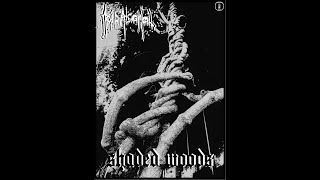 AcidAlcohol  Shaded woods Single Dark Ambient  Dungeon Synth [upl. by Suckram]