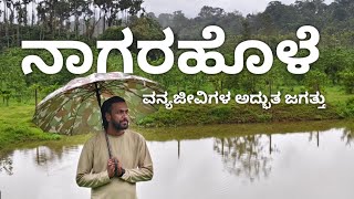 Bengaluru to Nagarahole Road Trip  ನಾಗರಹೊಳೆಯ ವನ್ಯ ಜೀವಿಗಳ ಅದ್ಭುತ ಜಗತ್ತು travel kannada [upl. by Wanda]